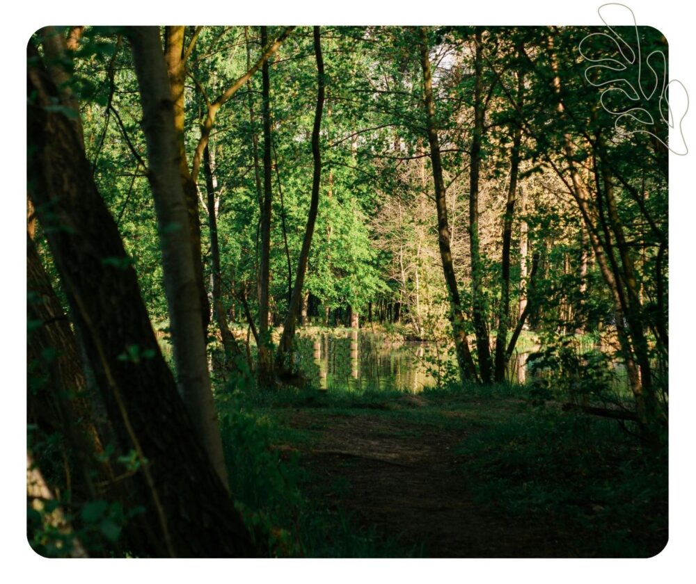 photo rivière